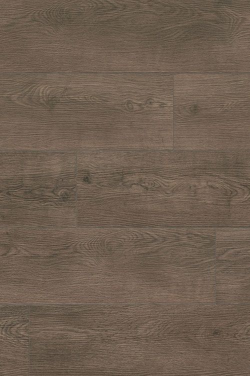 Lunar Oak
