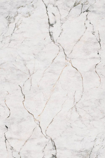 Gold Marble PVC Wall Panel