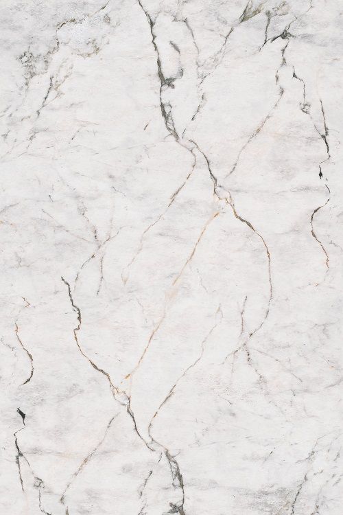 Gold Marble PVC Wall Panel