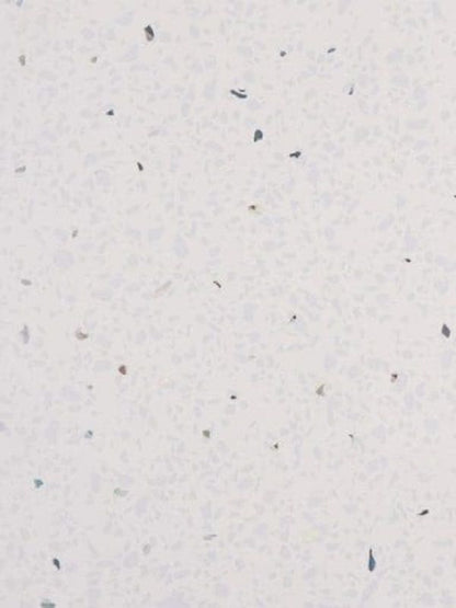 White Sparkle Wall Panel