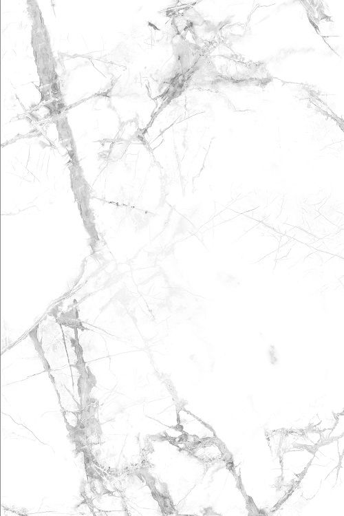 SPC - Calacatta snow