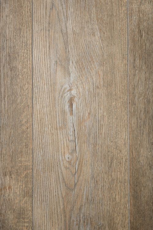 Leta Oak