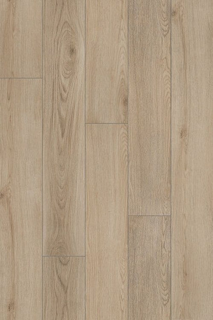 Pallar Oak