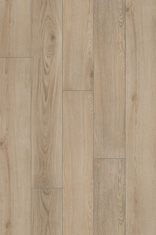 Pallar Oak